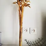 Les Insolites De דירה *