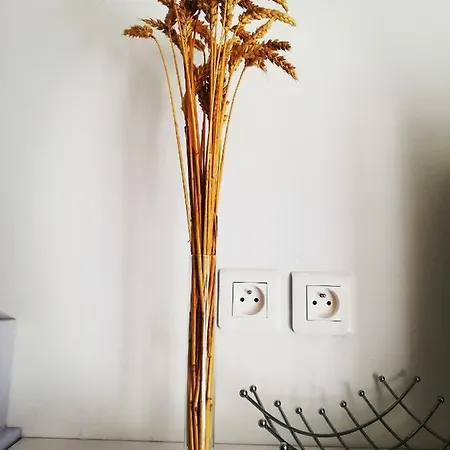 Les Insolites De Apartment *