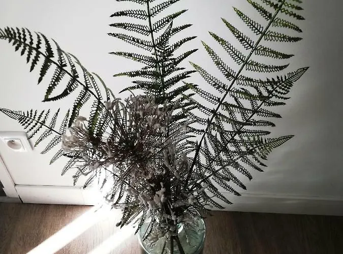 Les Insolites De Апартаменты