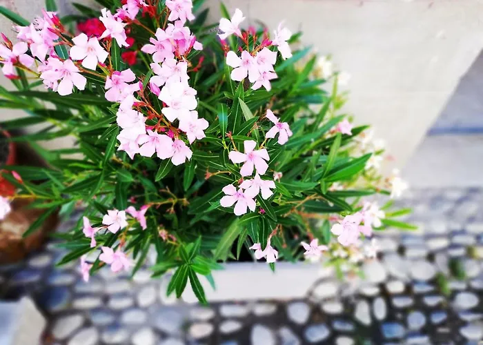 Les Insolites De Апартаменты