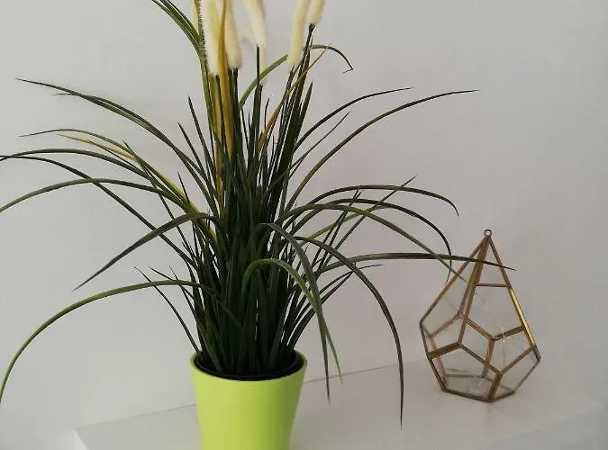 Les Insolites De Апартаменты *